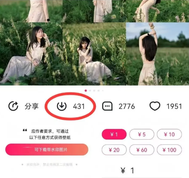 195003fhi8x03wgg3x40pg.png